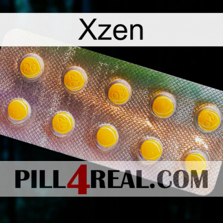 Xzen new11